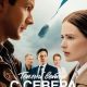 Тёплый ветер с севера (сезон 1) (2026)